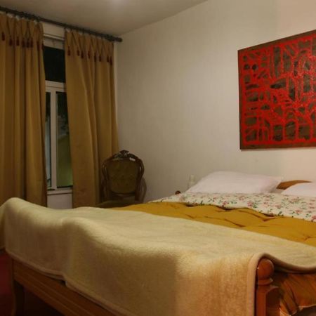 טיראנה Guesthouse Pension Andrea מראה חיצוני תמונה
