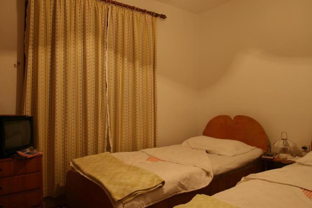 טיראנה Guesthouse Pension Andrea מראה חיצוני תמונה